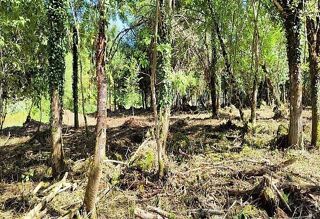  Terrain � vendre 1620 m�