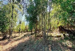  Terrain � vendre 1620 m�