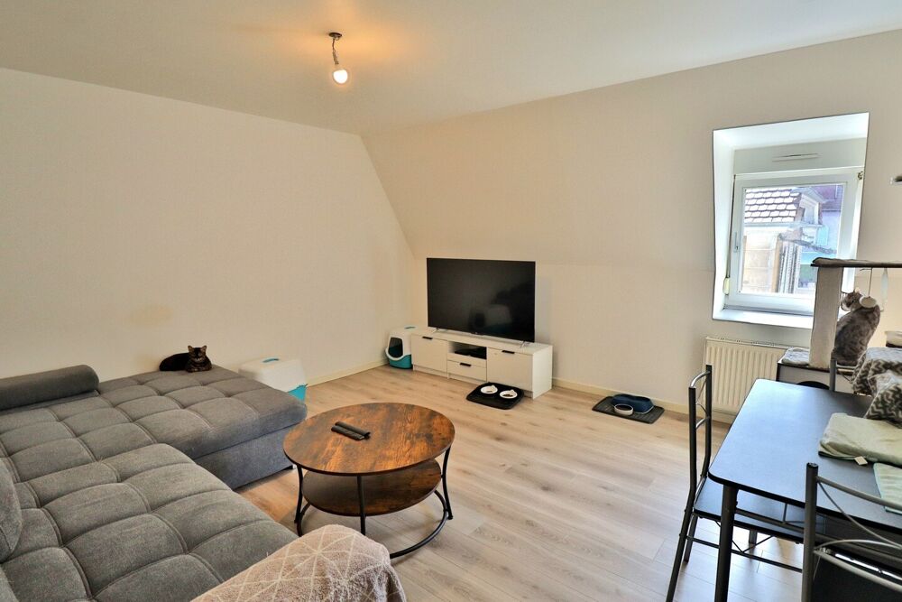 Vente Appartement DELLE, SPECIAL INVESTISSEUR APPARTEMENT F2 Delle