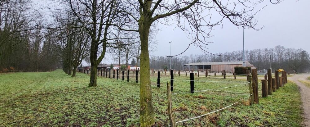 Vente Immeuble Centre équestre proximité HAGUENAU Schaffhouse-près-seltz