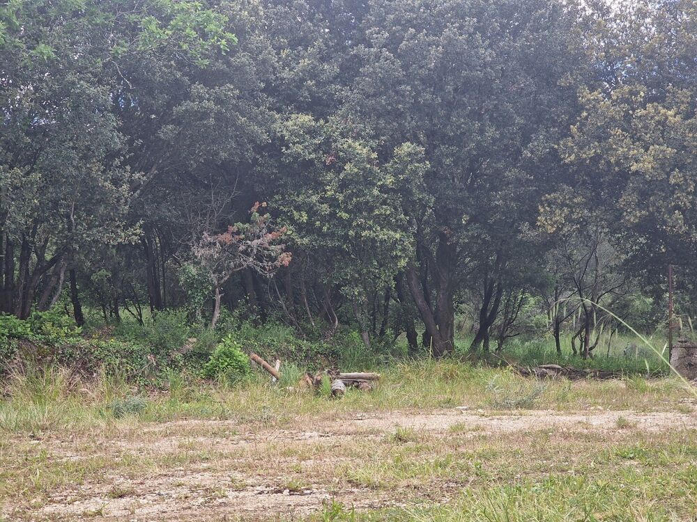 Vente Terrain Terrain Constructible Saint-montan