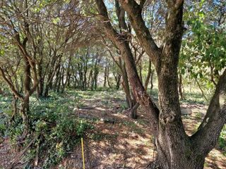  Terrain � vendre 1782 m�