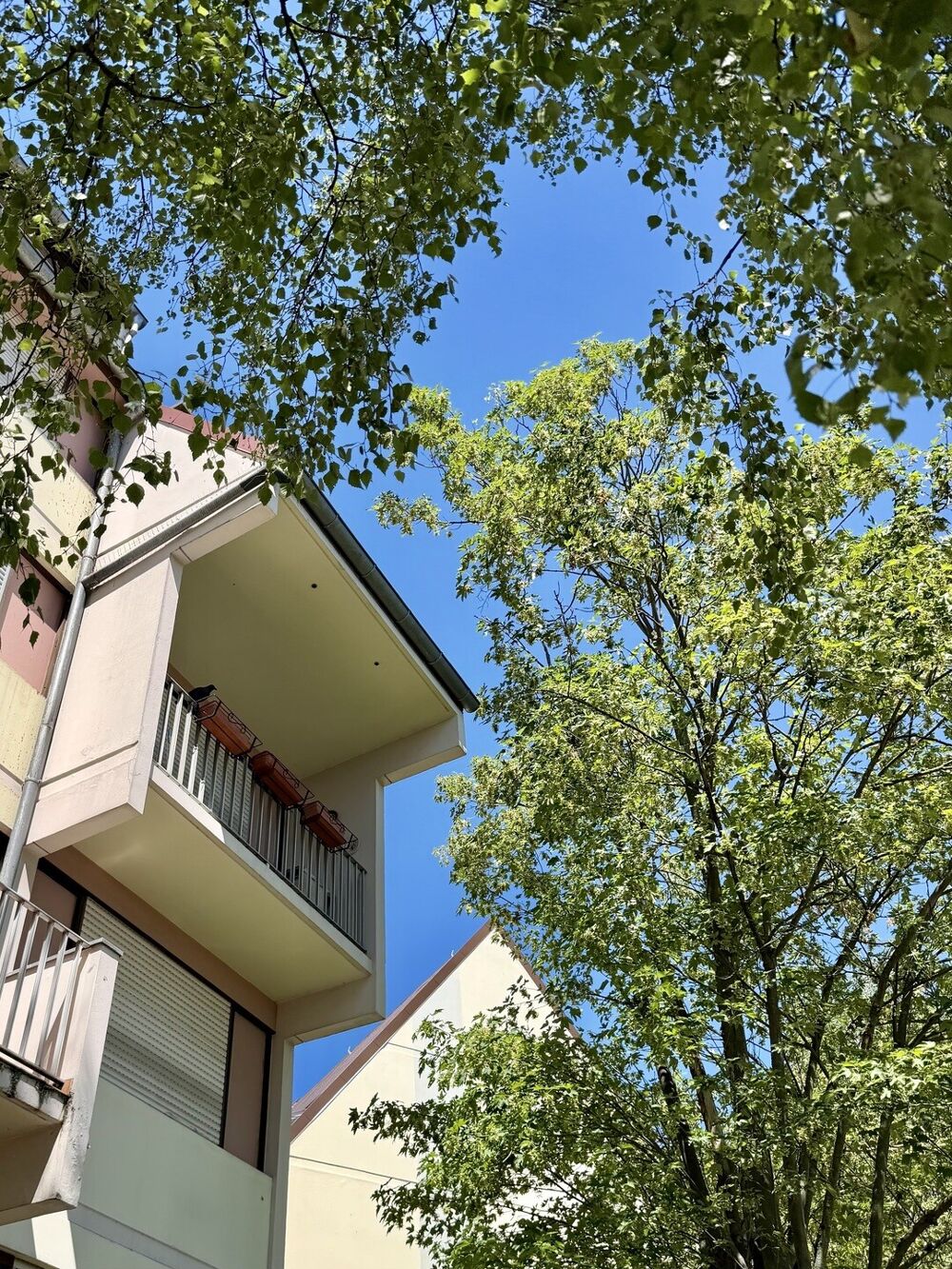 Vente Appartement Appartement 3 pièces à Schiltigheim Schiltigheim