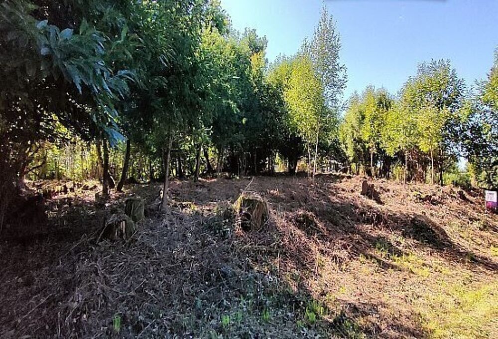 Vente Terrain TERRAIN DE 7280M² DONT 1620M² CONSTRUCTIBLE Neuvic