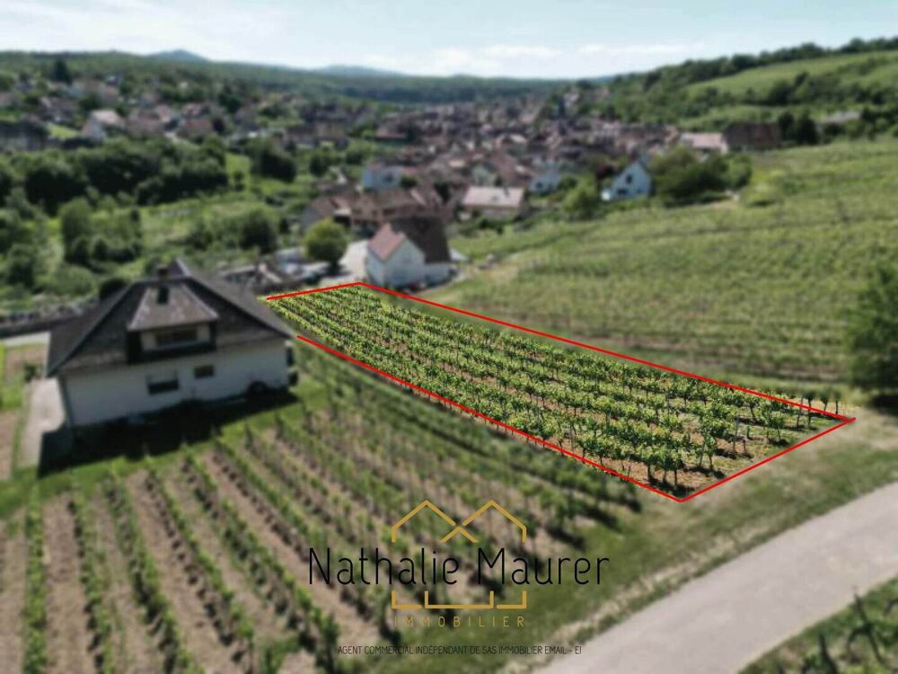 Vente Terrain Grand Terrain constructible hors lotissement Rosheim