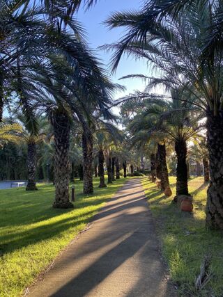  Maison � vendre 3 pi�ces 32 m�