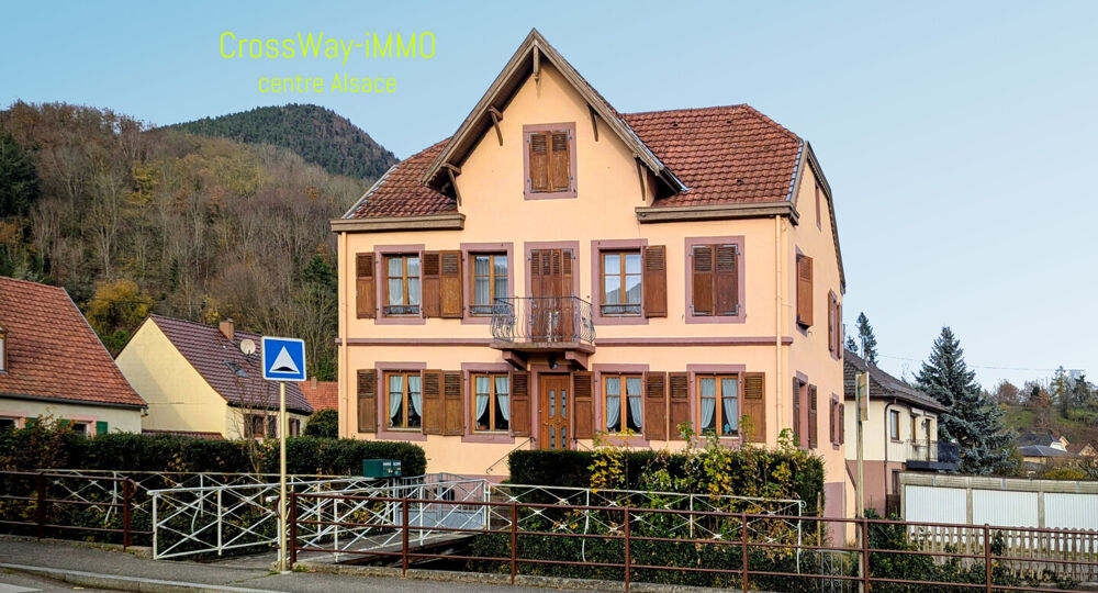 Vente Immeuble Pour investisseur : immeuble 2 appartements en location + 6 garages Li�pvre