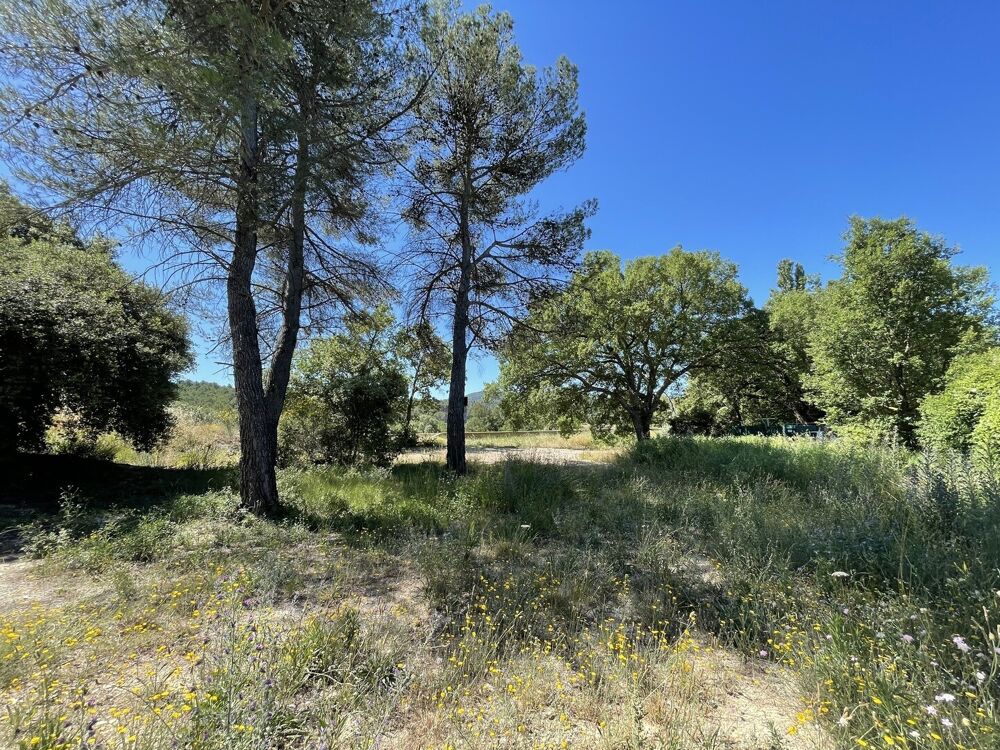 Vente Terrain Terrain 3050m2 dont 1550m2 à bâtir La Bastide des Jourdans La bastide des jourdans