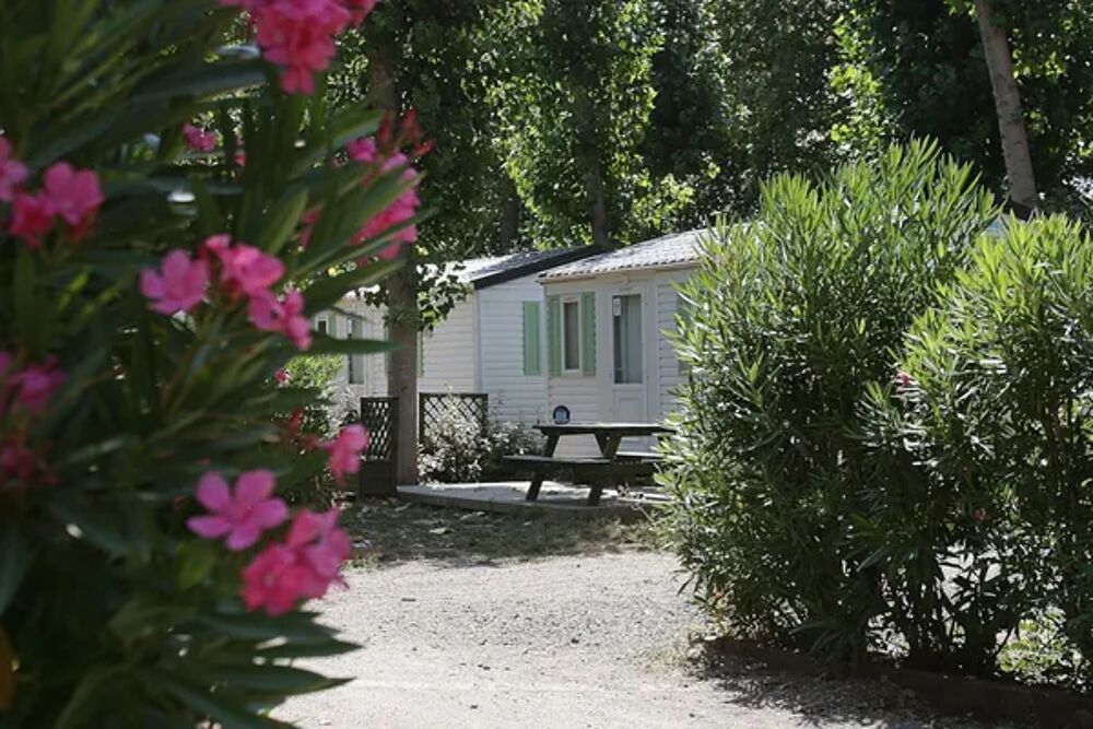   Camping les Berges du Canal - Mobil-Home 4/6 P Climatis Piscine collective - Tlvision - Terrasse - Accs Internet - Lit bb Languedoc-Roussillon, Villeneuve-ls-Bziers (34420)