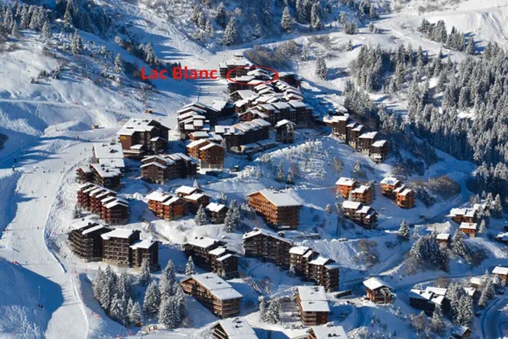   RESIDENCE LAC BLANC Pistes de ski < 100 m - Alimentation < 100 m - Centre ville < 1 km - Tlvision - Balcon Rhne-Alpes, Les Allues (73550)