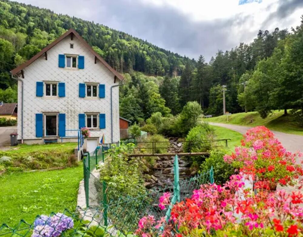   Joli appartement pour 4 pers. avec terrasse  Mittlach Tlvision - Terrasse - Vue montagne - place de parking en extrieur - La Alsace, Mittlach (68380)