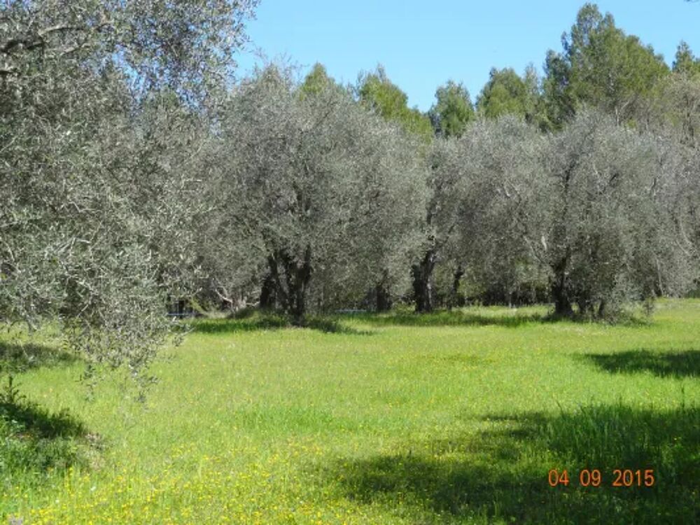   Au calme en campagne au milieu des oliviers centen Tlvision - Terrasse - place de parking en interieur - Jardin clos - Salon j Provence-Alpes-Cte d'Azur, Tourrettes (83440)