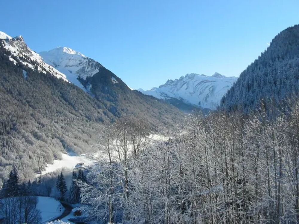   CHALET LES FYS Pistes de ski < 100 m - Tlvision - Balcon - Local skis - Lave vaisselle Rhne-Alpes, Morzine (74110)