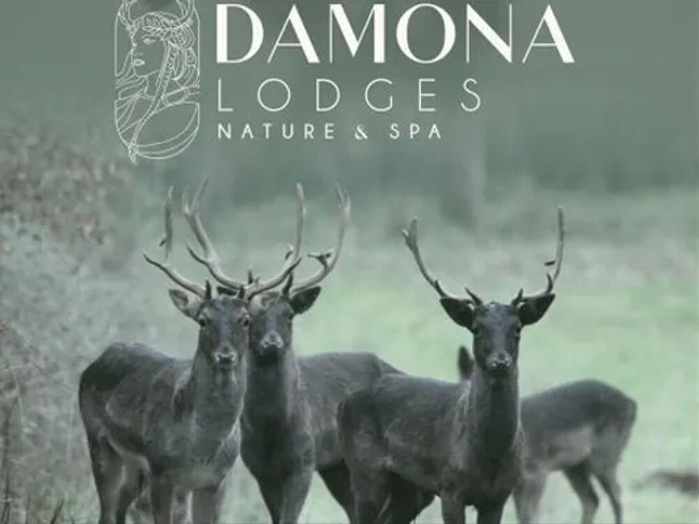   Damona Lodges - Lodge 2 chambres et Spa - Bohème Lave vaisselle - Salon jardin Pays de la Loire, Vairé (85150)