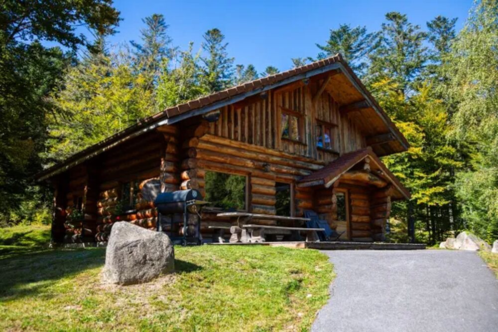   Superbe chalet rondins de 150 m au coeur des Vosges sauna wifi groupe famille Sauna - Tlvision - Terrasse - place de parking Lorraine, La Bresse (88250)
