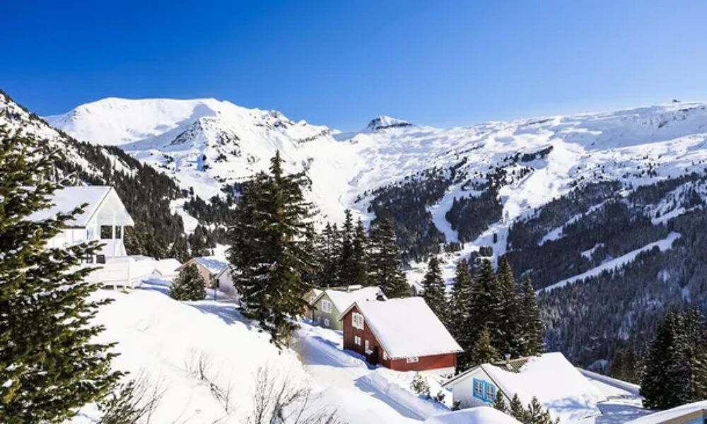   Chalet 3 Pices 8 Personnes - Confort Tlvision - Local skis - Lave vaisselle - Accs Internet Rhne-Alpes, Flaine (74300)
