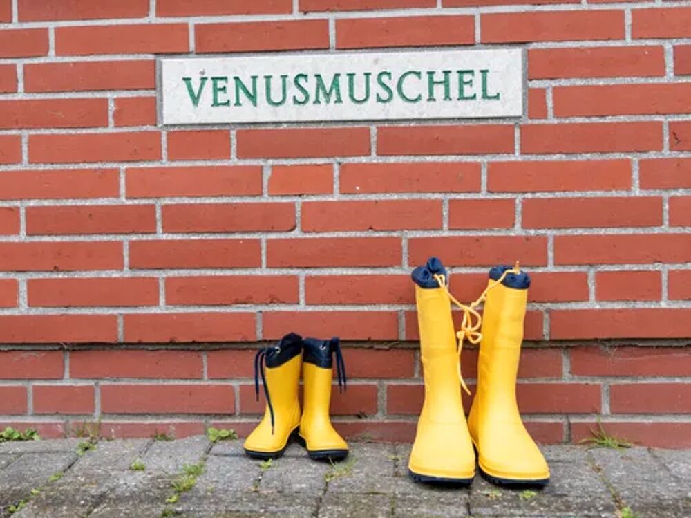   Venusmuschel Plage < 1 km - Tlvision - Terrasse - place de parking en extrieur - Lave linge Allemagne, Norden