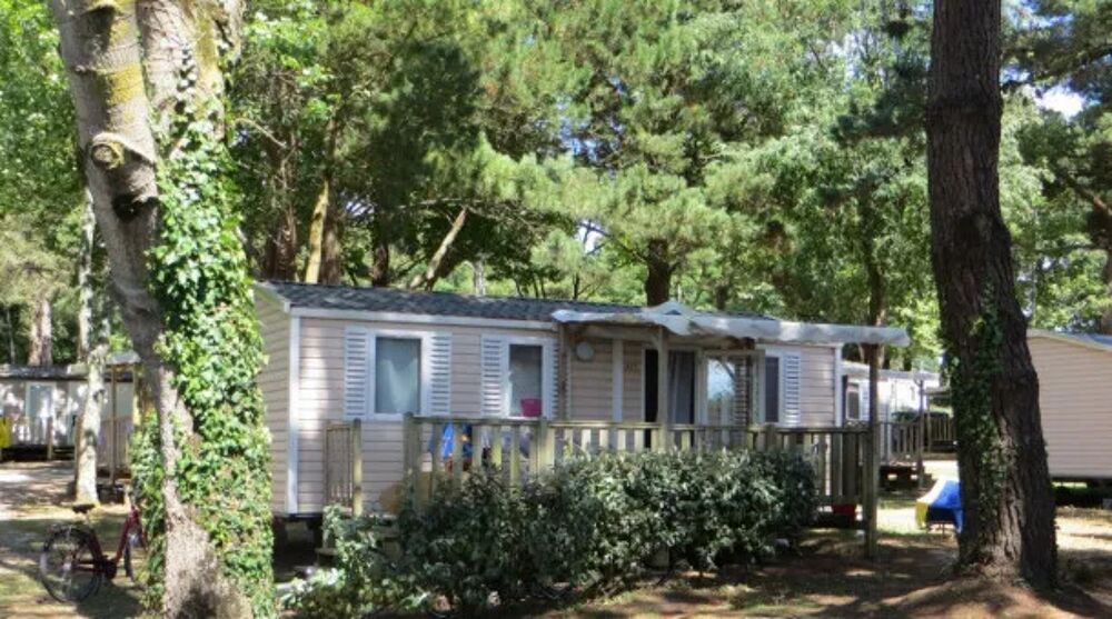   camping Les Ajoncs d'Or 4* - Mobil-home 