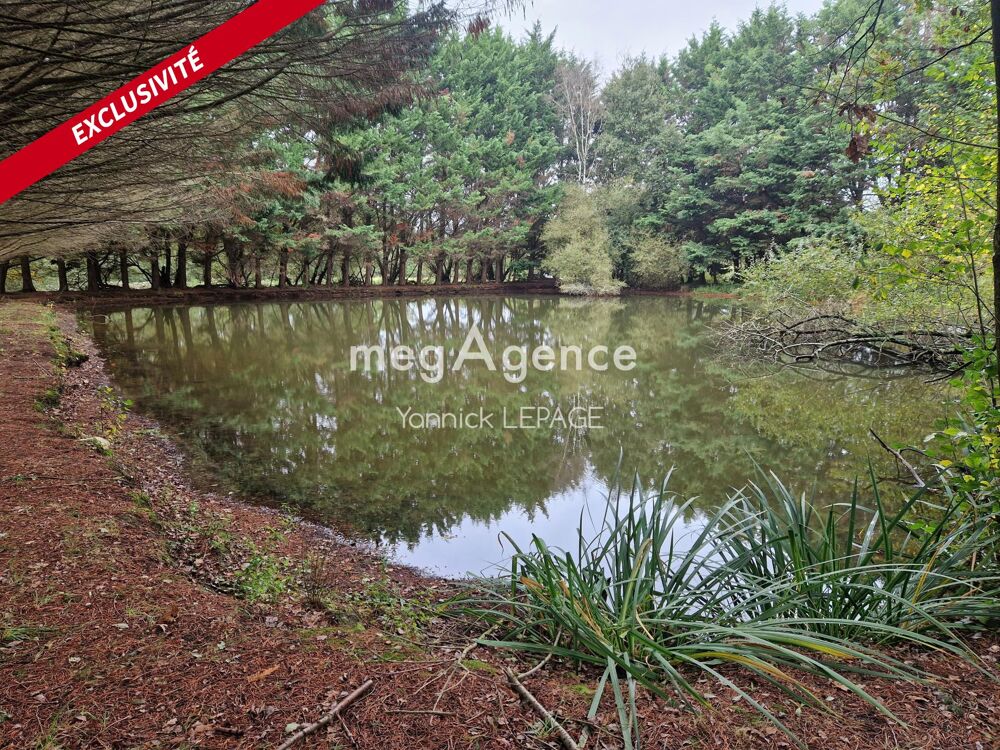 Vente Terrain PIPRIAC - Terrain - 2 étangs -  Chalet - Environnement paisible et verdoyant Pipriac