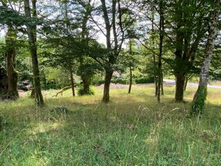  Terrain  vendre 2281 m