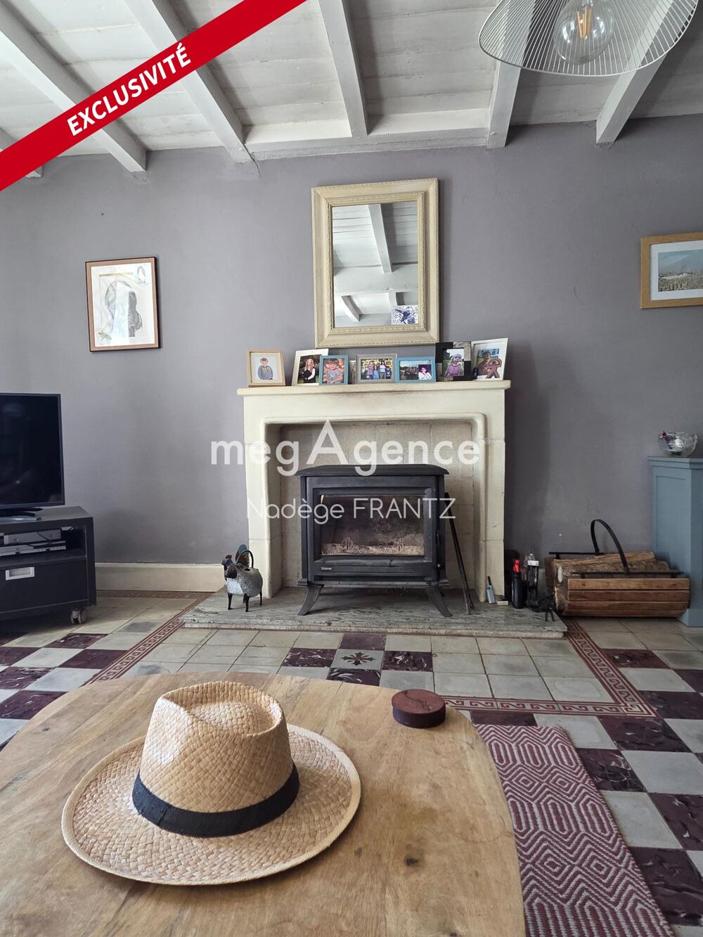 Vente Maison Propriété avec maison, 2 gîtes, 2 piscines et dépendance - Saint-Loup (17380) Saint-loup