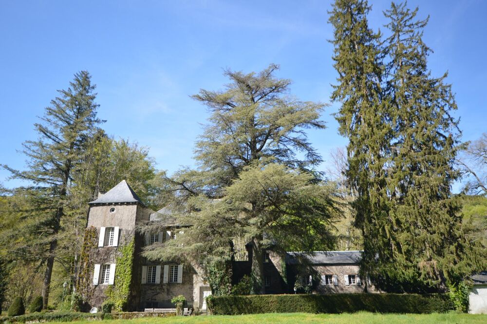 � vendre  Propri�t�/ch�teau Brassac (81260)