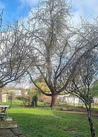  Immeuble � vendre 132 m�