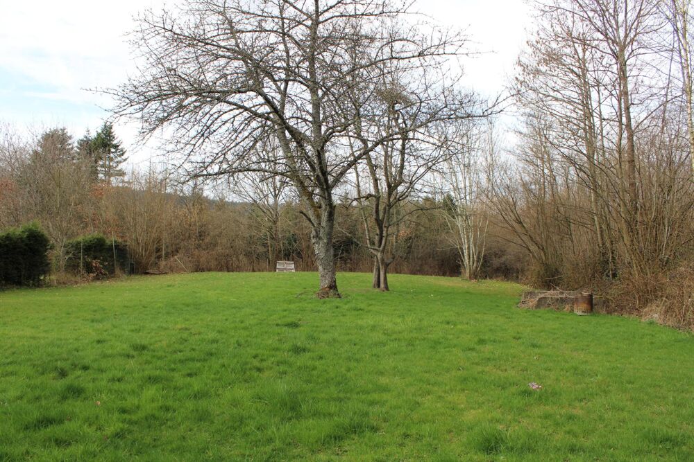 Vente Maison À SAISIR secteur ANOULD – Maison de Maître avec grand terrain en centre-ville ! Anould