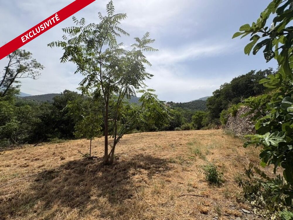 Vente Terrain Terrain agricole 4495 m2 Prades Ria-sirach