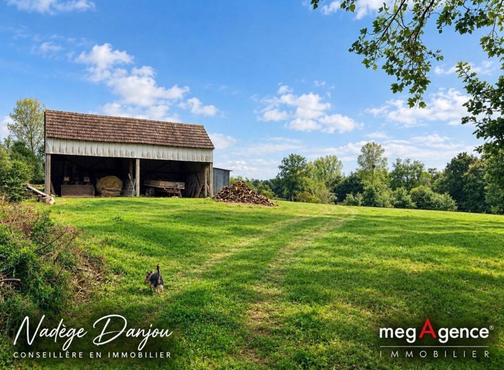 Vente Maison CAMPAGNOLLES-PAVILLON 4 CHAMBRES AVEC VIE DE PLAIN -PIED-PLUS D'1HECTARE DE TERRAIN & BATIMENT OUVERT Campagnolles