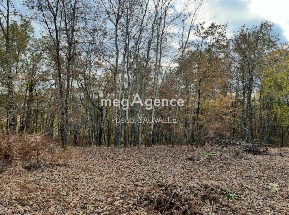 Vente Terrain Terrain à bâtir de 2200m2 Saint-michel-de-villadeix