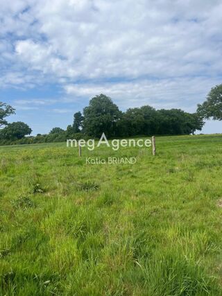  Terrain à vendre 31800 m²