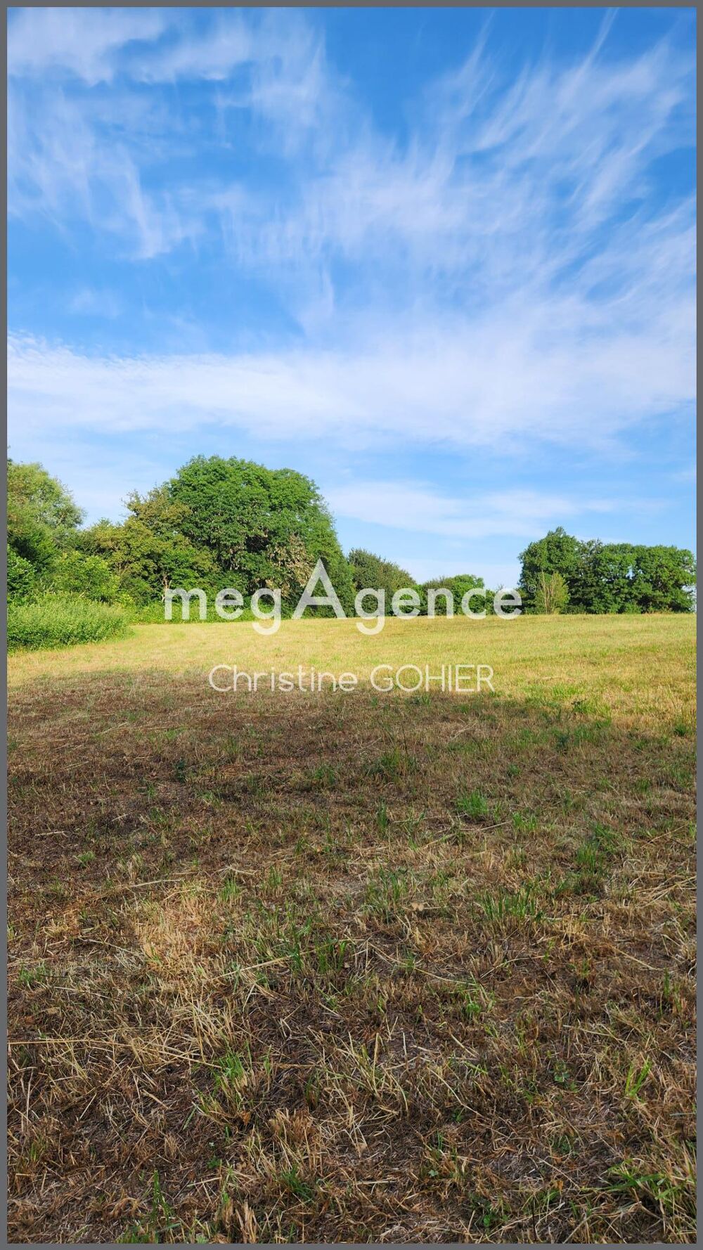 Vente Terrain Terrain Ecoyeux