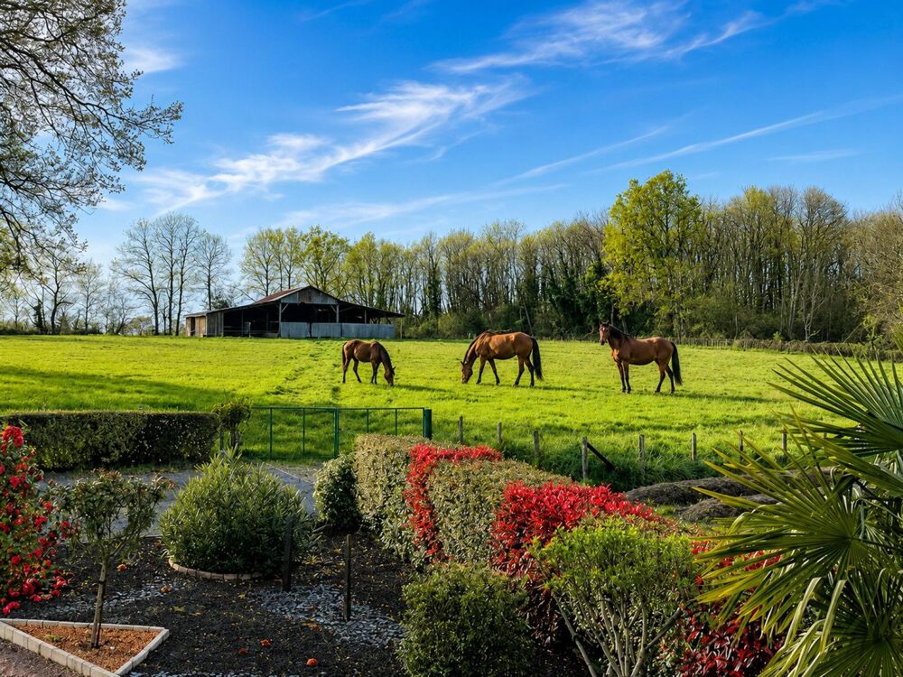 MAISON LUMINEUSE AVEC 1 Ha 66 ou 7 Ha DE TERRAIN (Idéal pour chevaux)