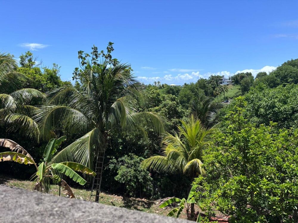 Vente Maison À Goyave, découvrez une propriété au fort potentiel ! Sur une parcelle verdoyante de 2 938 m², cette maison offre 4 chambres, de Goyave