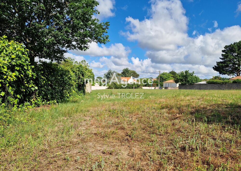 Vente Terrain Terrain constructible et divisible d'environ 1900 m² à Vairé Vaire