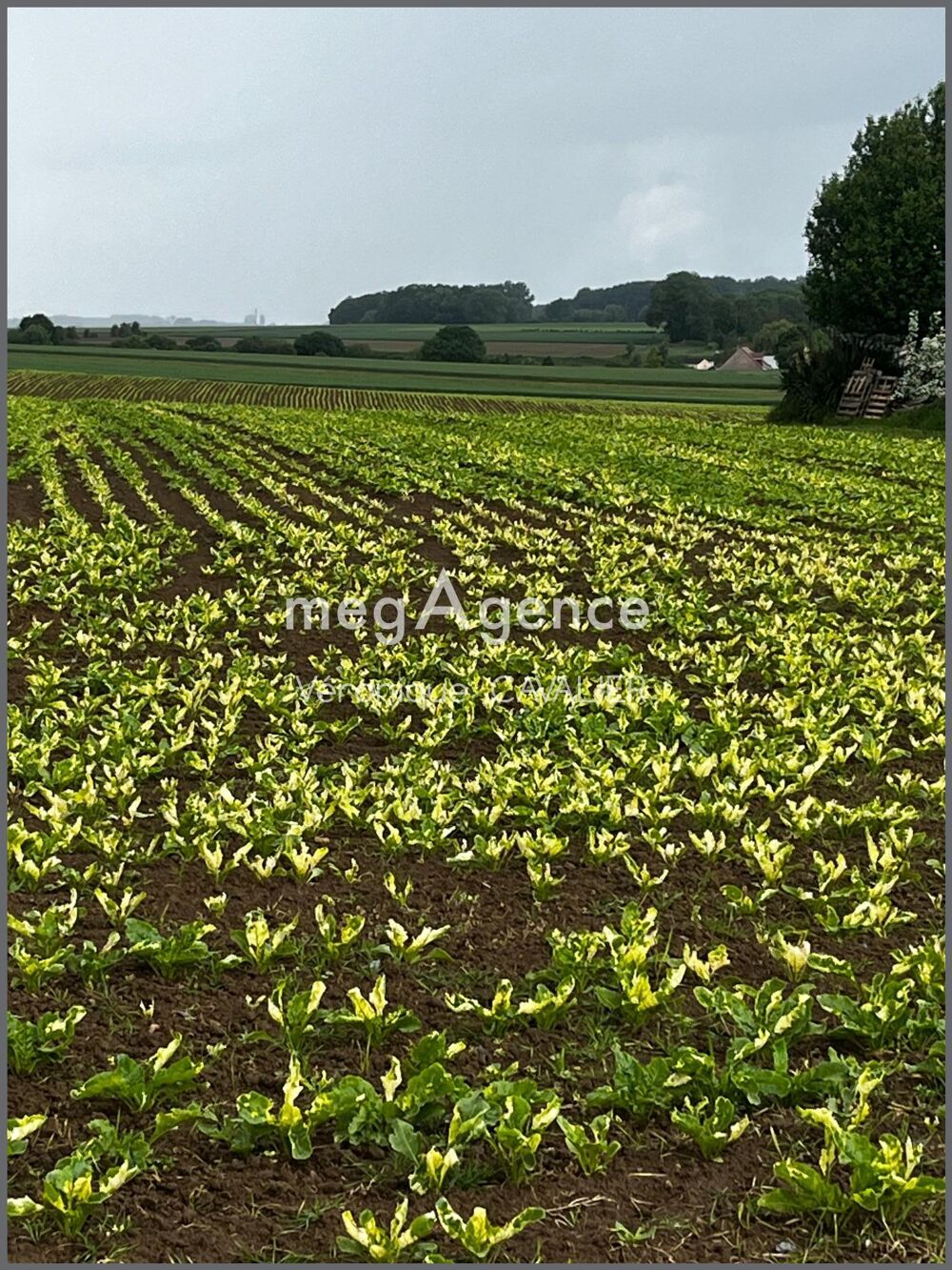Vente Terrain Terrain constructible à la campagne Montrecourt