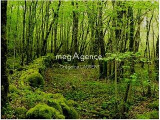  Terrain � vendre 70060 m� Landevant