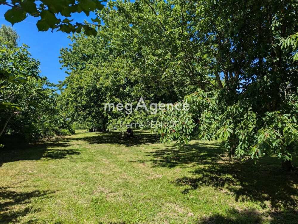 Charmante propriété en pierre avec Gîte et dépendance