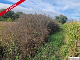  Terrain � vendre 56990 m�