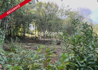  Terrain à vendre 3840 m²