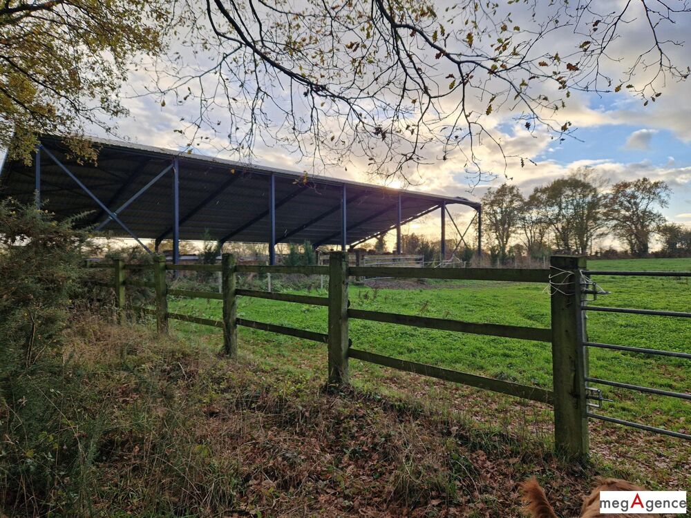 � vendre  Maison Nozay (44170)