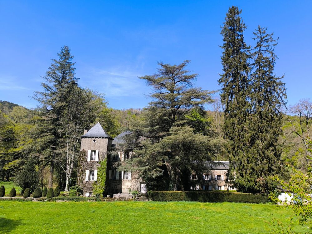 � vendre  Propri�t�/ch�teau Brassac (81260)