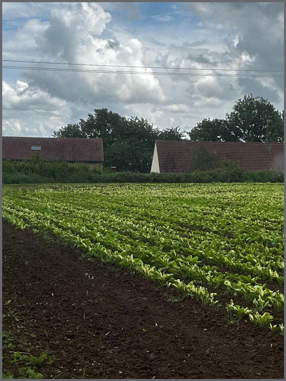 Vente Terrain Terrain constructible à la campagne Montrecourt