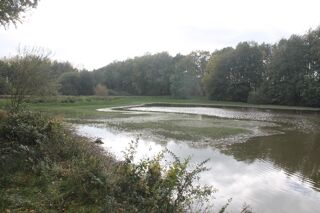  Terrain � vendre 67340 m�