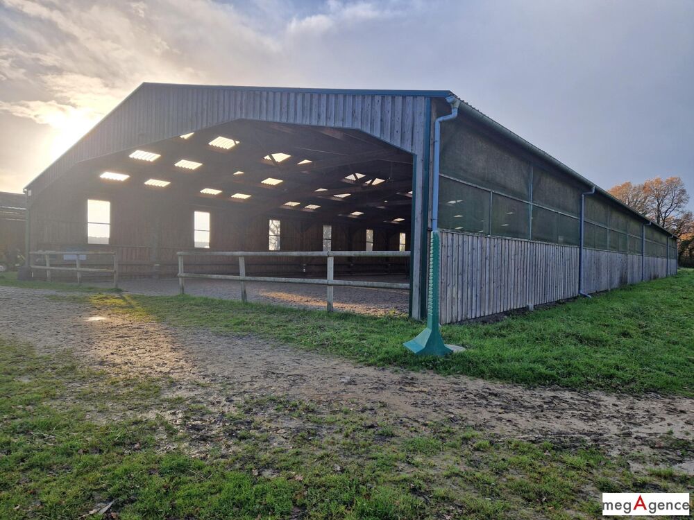 Ecurie - Terrain 5 hectares - Manège 20x60