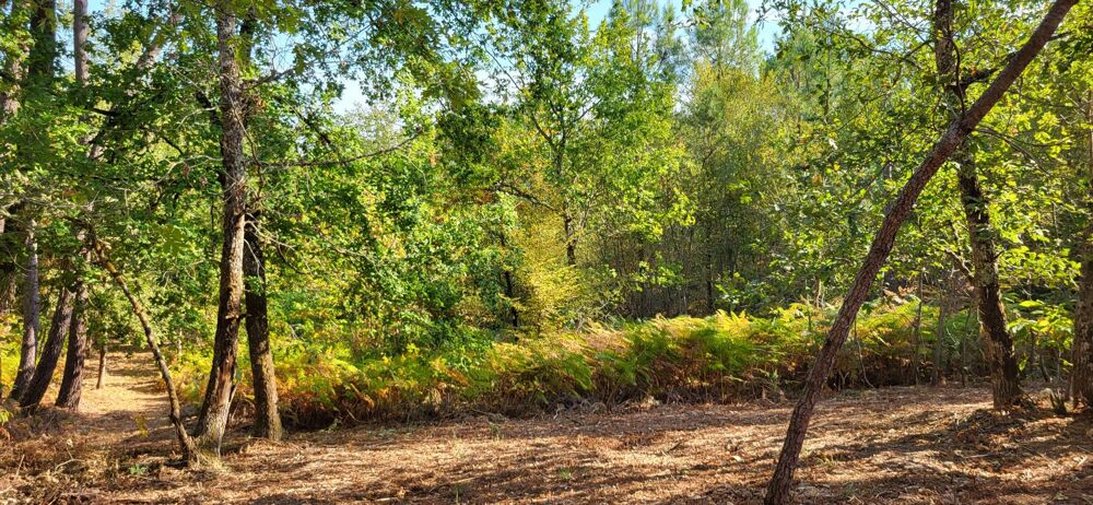Vente Terrain Terrain constructible arboré et boisé Bergerac