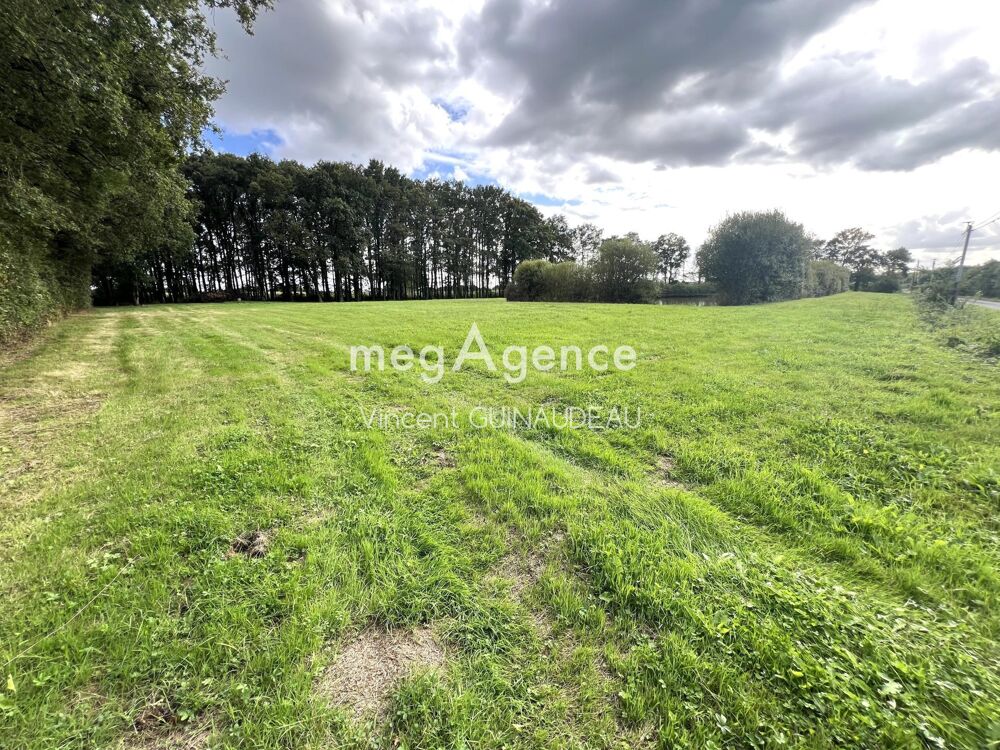 Vente Terrain Etang Cholet