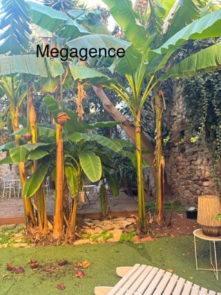  Appartement � vendre 4 pi�ces 90 m�