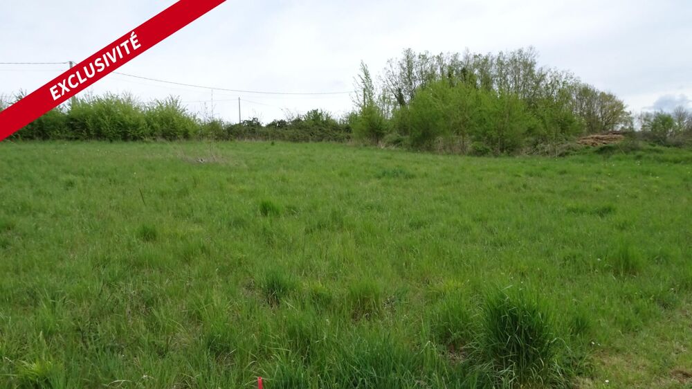 Vente Terrain TERRAIN CONSTRUCTIBLE Villuis